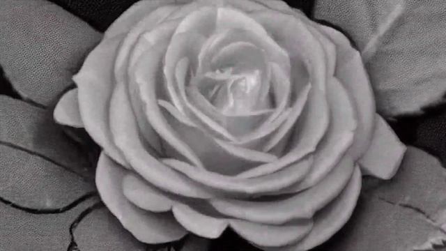 Невозможно чувственная и красивая песня Тэхёна 💜#v #taehyung