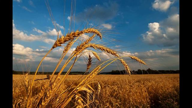 Лето это маленькая жизнь смотреть онлайн