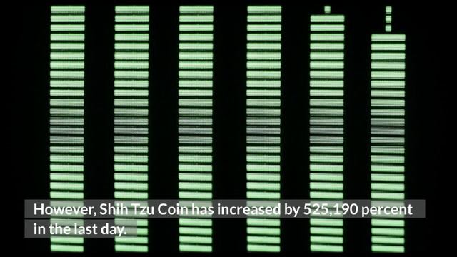 Shih Tzu Coin Crashed 99.98% | SHIH Coin News and Updates!! | Crypto News смотреть онлайн