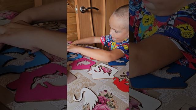 Доски сегена,  находки на WB,  обзор