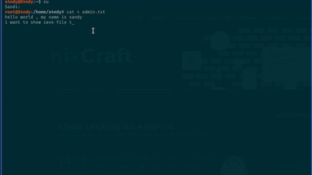 Save file with command cat on linux смотреть онлайн