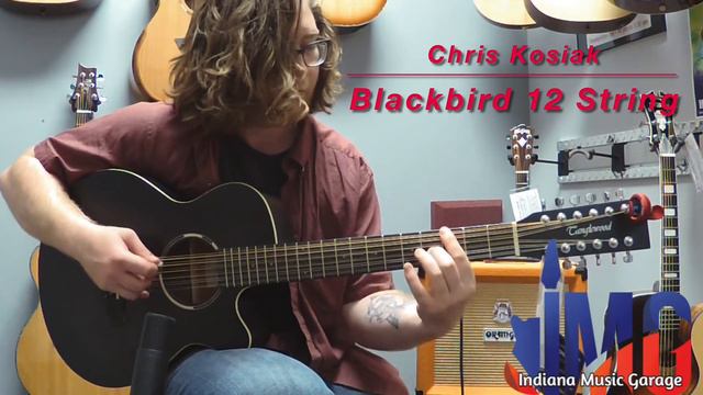 Tanglewood Blackbird 12 String смотреть онлайн