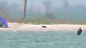 Перемоина . Ловля пеленгаса в Кириловке. 1я часть