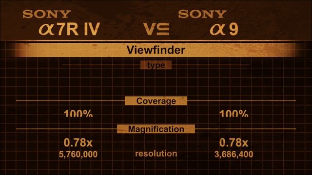 Sony alpha a7R IV vs Sony alpha a9 смотреть онлайн