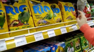 ЗООПОКУПКИ / ЗАПАСАЕМСЯ КОРМАМИ ДЛЯ ХОМКИ - ПОКУПКИ В ЗООМАГАЗИНЕ / Alisa Easy Pets