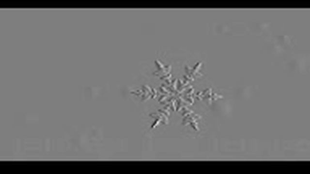 3GP FORMAT VIDEO смотреть онлайн