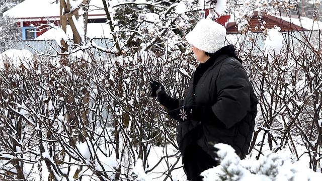 Сад или сугробы? Что нас ждёт? смотреть онлайн