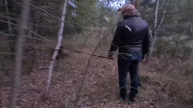 Кровяной след. смотреть онлайн