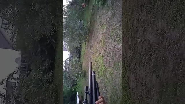 мр 61 смотреть онлайн