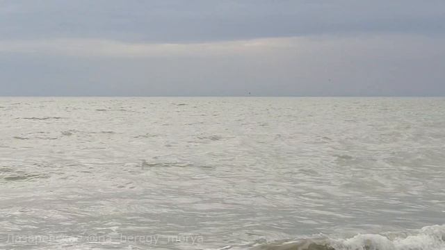 Лазаревское - море в ноябре, дельфины - отдых #на_берегу_моря
