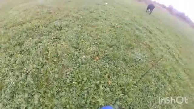 Осень в деревне.