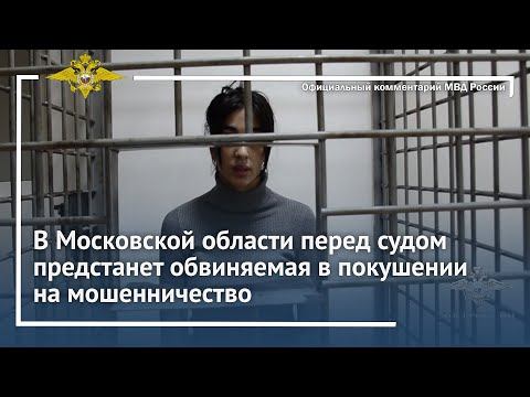 Ирина Волк: В Московской области перед судом предстанет обвиняемая в покушении на мошенничество смотреть онлайн