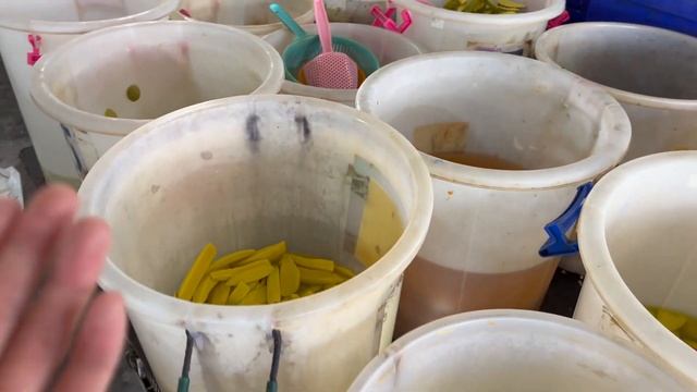 Цены на еду Таиланде в 2022 | Обзор рынка в Паттайе | Сколько стоят продукты в Тае смотреть онлайн