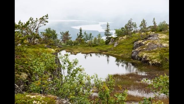 Вы Послушайте мудрые советы старца Назария Валаамского. смотреть онлайн