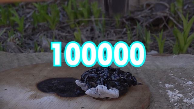 ПОЛУЧИЛ НОВЫЙ ОБСИДИАН из РАСКАЛЕННОЙ ЛАВЫ и ГИГАНТСКОГО ШАРИКА с ЖИДКИМ АЗОТОМ...
/ TimOn ChaveS смотреть онлайн