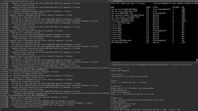 Cloud Foundry Community Advisory Board [March 2020] смотреть онлайн
