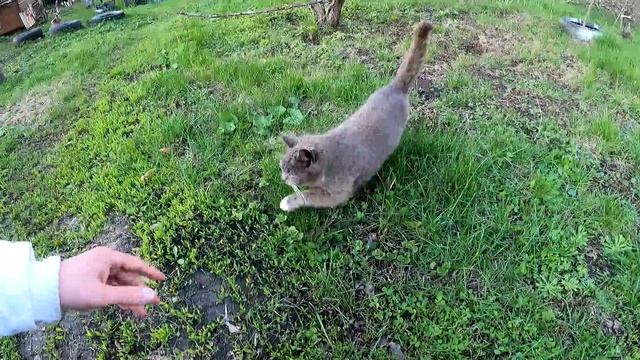 Где жил Орловец! смотреть онлайн