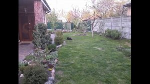 Ландшафтный дизайн участка 6 соток фото