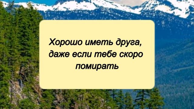 Сент - Экзюпери цитаты о жизни, о любви // Афоризмы, крылатые фразы, высказывания смотреть онлайн