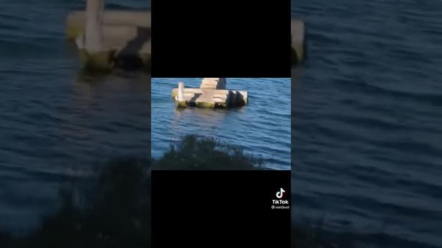 Русалка в море смотреть онлайн