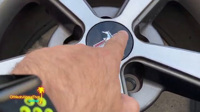 SVE MACH 1 STAGGERED WHEELS AND TIRES! (part six) 2003 Mustang Mach ! смотреть онлайн