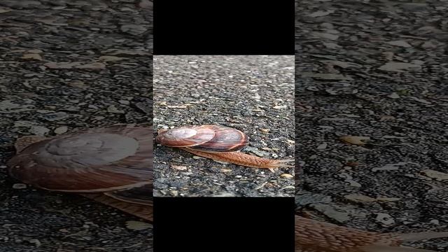 VID_20230719_175211.mp4 смотреть онлайн