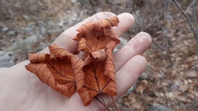 Горы над Ялтой. Ущелье Яузлар смотреть онлайн