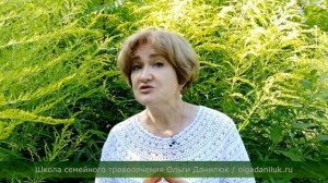 Золотарник - дробим камни!