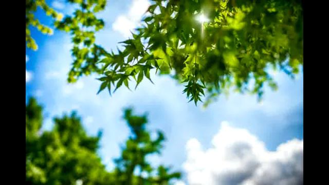 Картинки которые настроят на лето 🌲🌲 смотреть онлайн