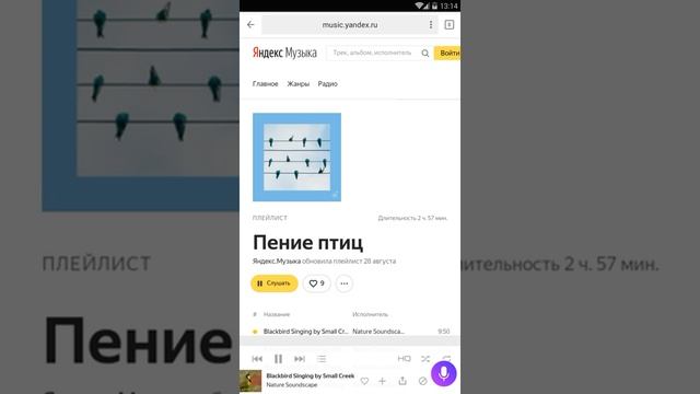 Алиса, включи звуки природы смотреть онлайн