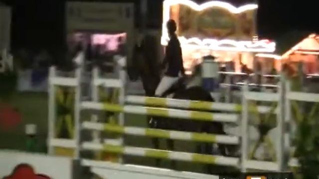 Hilmar Meyer Sporthorses 2013 Conoc Dobrock Stechen смотреть онлайн