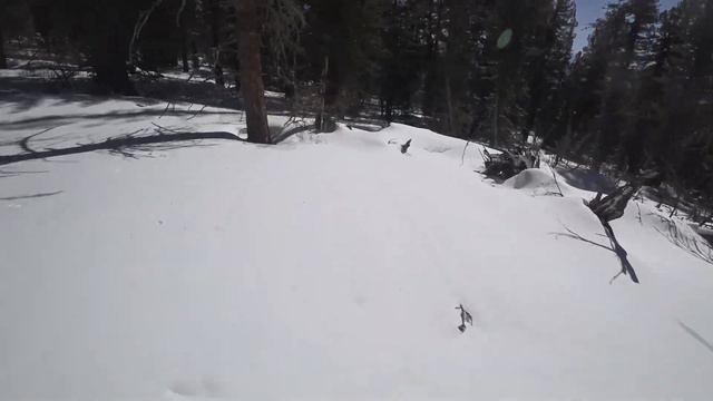 Гладенькая. Спуск по южному склону с подъемника.