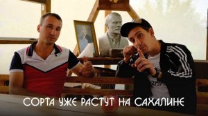 Россия за которую не стыдно  Настоящий питомник Школьный Сад.