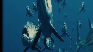Опасные морские динозавры -  гиганты, повелители морских глубин и необычные существа  древних морей