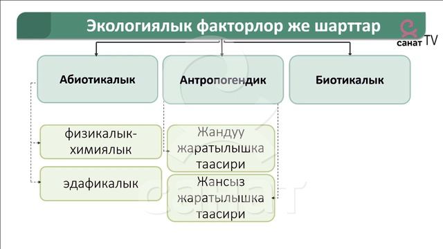 Зоология 7 класс 31 сабак смотреть онлайн