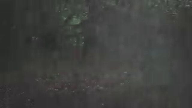 Дождливая погода для сна. Ливень ,Гром ,Туман . смотреть онлайн