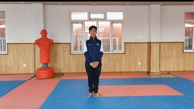 Purple Belt Kata for Begineer of Shito Ryu Karate? смотреть онлайн