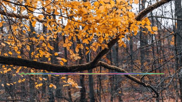 ТИМУР ХИДИРБЕКОВ - ЕСЛИ ЛЮБИШЬ 2024