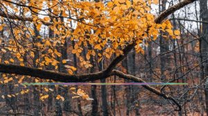 ТИМУР ХИДИРБЕКОВ - ЕСЛИ ЛЮБИШЬ 2024