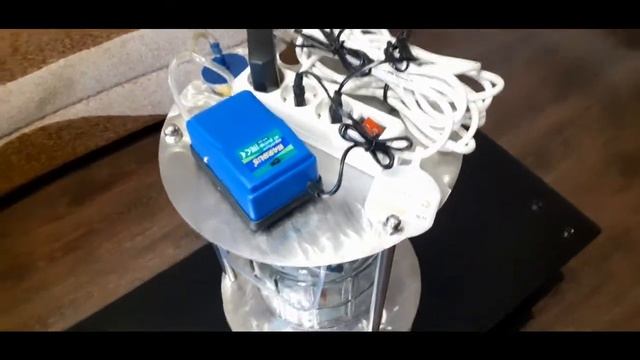 Хлорелла фотобиореактор в доме. смотреть онлайн