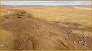 ДАЛЕКО, ДАЛЕКО ЖУРАВЛИ УЛЕТЕЛИ - Игорь Горбушин