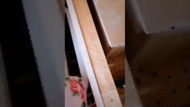 Апидомик у апи- гирудотерапевта (Германия) смотреть онлайн