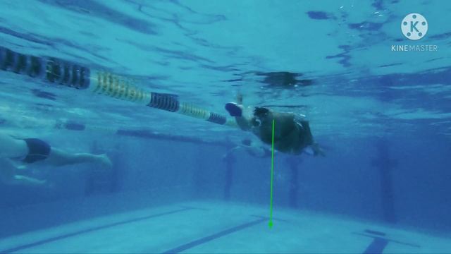 Кроль плавание. Как плавать кролем. Ошибки о которых должен знать каждый. РАЗБОР ТЕХНИКИ ПЛАВАНИЯ. смотреть онлайн