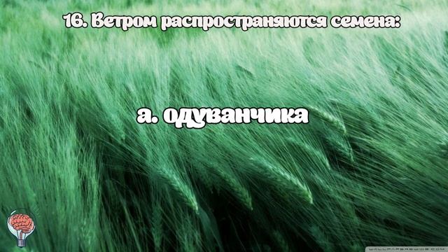 Тест по биологии 6 класс (ботаника и зоология). Часть 1. смотреть онлайн