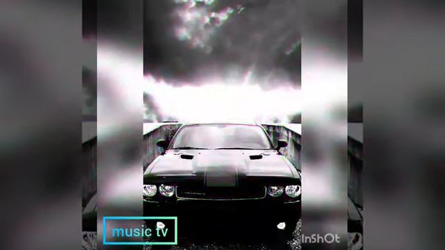 Арсен шахунц девочка стоп #music смотреть онлайн