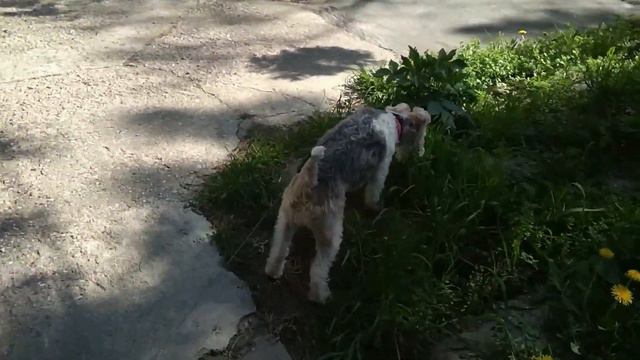 Моё идеальное утро! смотреть онлайн
