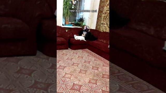 НЛО напало на наш дом (часть 1) смотреть онлайн