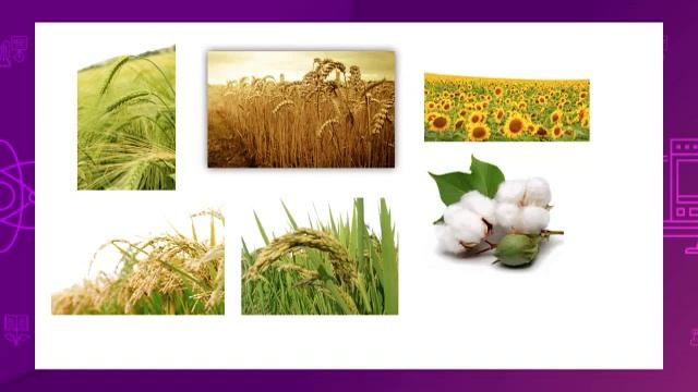 Познание мира. 3 класс. Как связаны село и город /09.12.2020/ смотреть онлайн