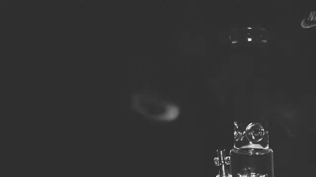 Тото-растафарай смотреть онлайн