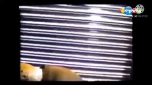 страшный и жуткий взлом канала карусель